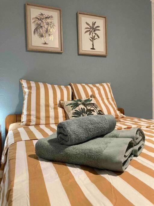 Ti Repos Martinique - Maison Avec Spa ショルシェール エクステリア 写真