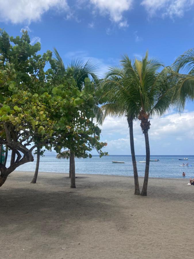 Ti Repos Martinique - Maison Avec Spa ショルシェール エクステリア 写真