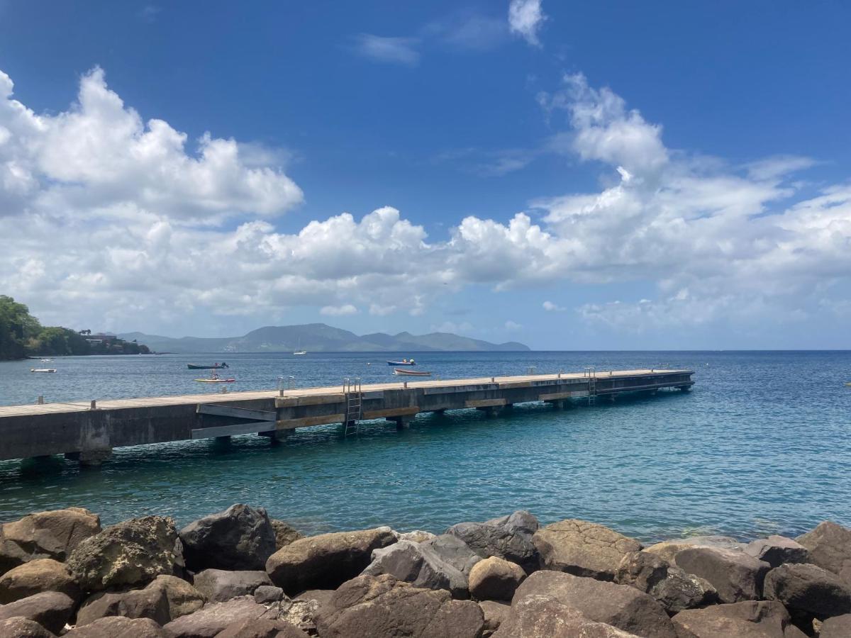 Ti Repos Martinique - Maison Avec Spa ショルシェール エクステリア 写真